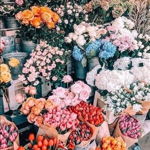 Meet your Posher, Victoria